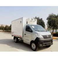 cheaper freezing van truck for african for milk vegetable